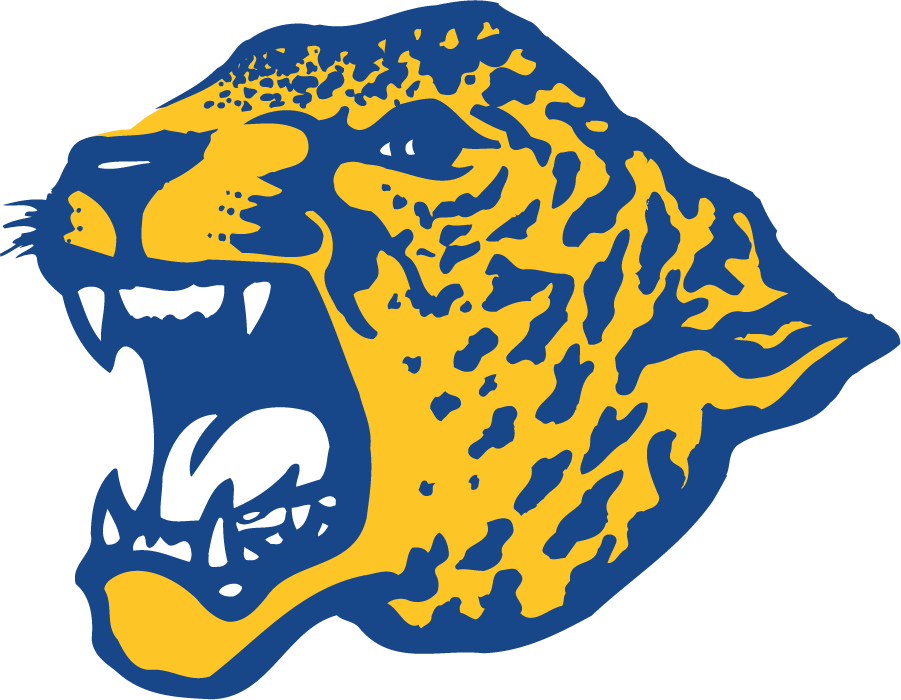 Southern Jaguars 1993-2001 Primary Logo diy DTF decal sticker